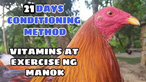 21 DAYS CONDITIONING METHOD! vitamins.